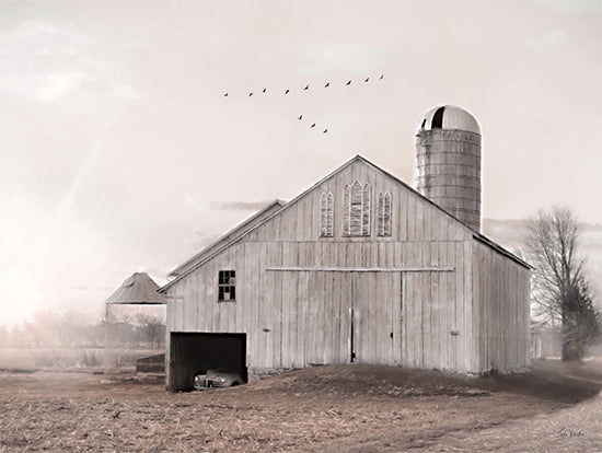 Lori Deiter LD3620 - LD3620 - Arrival of Spring - 16x12 Photography, Farm, Barn, White Barn, Car, Silo, Birds, Fields, Sky, Landscape from Penny Lane