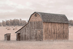 LD3621 - Mormon Row Barn - 18x12