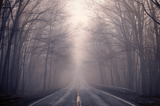 Lori Deiter LD3700 - LD3700 - Disappearing Destination - 18x12 foggy forest road, misty path, bare trees, moody blue tones, atmospheric perspective, quiet winter scene, mysterious, serene, nature trail, painterly, dramatic light from Penny Lane