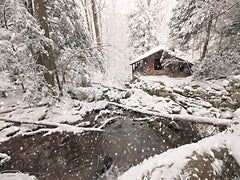 LD3761 - Winter Stream Hideaway - 16x12