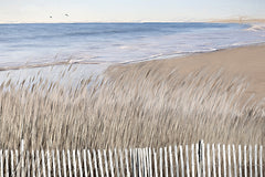 LD3803 - Beyond the Beach Fence - 18x12
