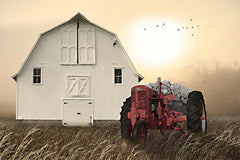 LD3824 - Rustic Reflection   - 18x12