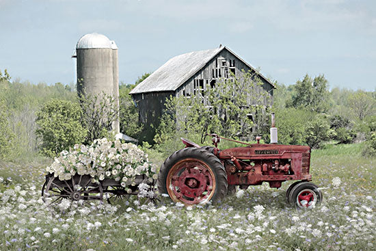 Lori Deiter LD3843 - LD3843 - Abandoned Beauty   - 18x12 red Farmall tractor, white flower wagon, old gray barn, silo, spring meadow, wildflowers, rustic farm equipment, country pasture, vintage farm machinery, rural landscape, farmhouse charm, blooming field, pastoral scene, painterly texture, agricultural decor from Penny Lane