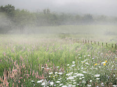 LD3912 - Misty Morning Meadow - 16x12