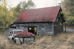 LD3922 - Grandpa's Flower Truck - 18x12