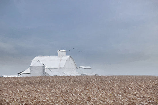 Lori Deiter LD3923 - LD3923 - Silent Fields - 18x12 white barn, distant farmhouse, stormy sky, wide crop field, rural landscape, minimal, moody horizon, birds in sky, autumn harvest, country scene, painterly, neutral tones from Penny Lane