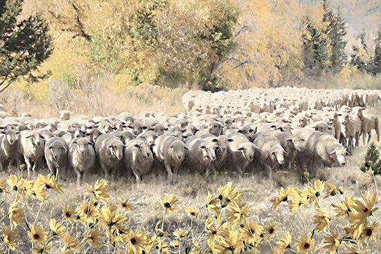 Lori Deiter LD3925 - LD3925 - Herding the Sheep - 18x12 flock of sheep, pasture, yellow wildflowers, sunflower daisies, rural landscape, farm animals, grazing herd, countryside, soft light, spring summer field, pastoral, painterly from Penny Lane
