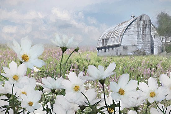Lori Deiter LD3940 - LD3940 - Stillness in Bloom - 18x12 white barn, silo, spring meadow, wildflowers, white cosmos daisies, lavender field, green grass, blue sky, soft clouds, rustic countryside, pastoral, serene, light airy, rural landscape, modern farmhouse decor, floral foreground, botanical, summer field from Penny Lane
