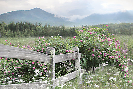 Lori Deiter LD3950 - LD3950 - Forgotten Blooms - 18x12 rustic wooden fence, wild rose bush, pink purple flowers, meadow, mountains, pine forest, summer field, countryside, pastoral landscape, soft light, airy sky, nature scene, farmhouse style, brush strokes, serene from Penny Lane