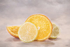 LD3962 - Sun-Kissed Citrus II - 18x12