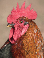 LD3965 - Clucker - 12x16