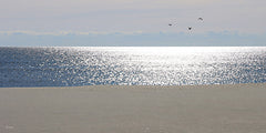 LD3991 - Sunlit Sparkles on the Sea - 18x9
