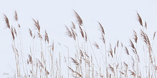 Lori Deiter LD3992 - LD3992 - Reeds in the Wind - 18x9 minimalist sky, tall grass reeds, neutral tones, airy negative space, nature texture, soft brush strokes, calm modern farmhouse style, coastal-inspired minimal, prairie grass from Penny Lane