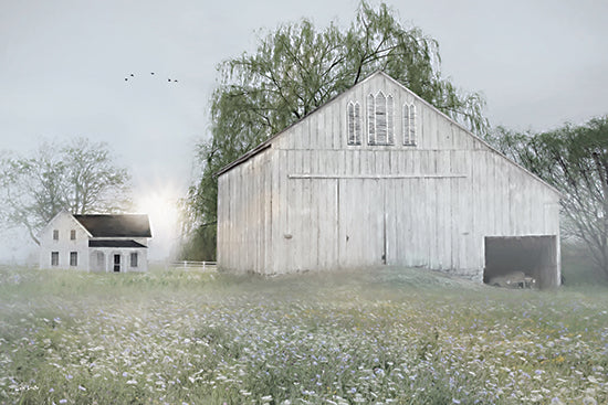 Lori Deiter LD3993 - LD3993 - Farmhouse Sunrise - 18x12 white barn, farmhouse, misty morning, wildflower meadow, soft green field, country landscape, rustic farm scene, trees in background, pastel light, painterly style from Penny Lane