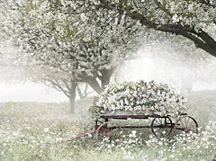 LD4023 - Misty Morning Blooms - 16x12
