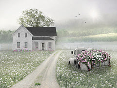 LD4066 - Old Fashioned Farmhouse - 16x12