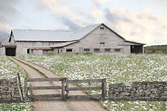 Lori Deiter LD4162 - LD4162 - Wild Daisies - 18x12 gray weathered barn, dirt lane, stone fence, wildflower field, rustic farm, pastoral landscape, country road, old barn, soft sky, meadow flowers, rural architecture, painterly farmhouse art, tranquil countryside from Penny Lane