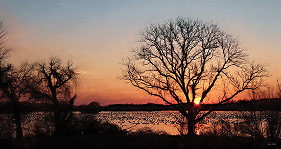 Lori Deiter LD4177 - LD4177 - Middle Creek Gathering - 18x9 sunset lake, silhouetted trees, glowing orange sky, waterside landscape, ducks on water, moody nature scene, evening horizon, lakeside sunset, dramatic sky, black tree silhouettes, peaceful dusk, scenic photography, reflective water from Penny Lane