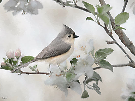 Lori Deiter LD4192 - LD4192 - Apple Blossom Titmouse I - 16x12 animals, botanical, birds, floral, trees, titmouse, apple blossom, spring, branch, painterly, decorative, digital painting, neutral from Penny Lane