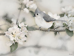 LD4193 - Apple Blossom Titmouse II - 16x12