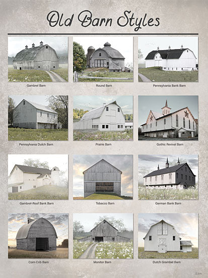 Lori Deiter LD4212 - LD4212 - Old Barn Styles - with Landscapes - 12x16 landscape, typography, rural, word art, barn, farmhouse, old, rustic, architecture, countryside, vintage, decorative, mixed media, neutral from Penny Lane