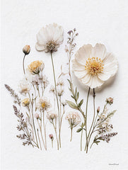 LET1194 - Pressed Flowers I - 12x16