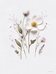 LET1198 - Pressed Flowers V - 12x16