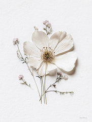 LET1199 - Pressed Flowers VI - 12x16