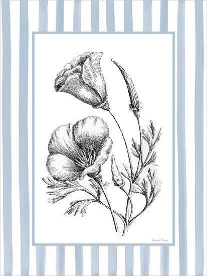 lettered & lined LET1497 - LET1497 - Floral Sketch I - 12x16 botanical, backgrounds & patterns, floral, leaves, california poppy, flower, stems, decorative, ink drawing, blue from Penny Lane