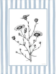LET1498 - Floral Sketch II - 12x16