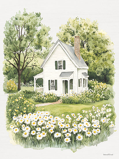 lettered & lined LET1561 - LET1561 - In Full Bloom - 12x16 white cottage, daisy field, spring landscape, country home, green trees, garden flowers, charming farmhouse, pastoral scene, watercolor style, peaceful nature setting, blooming meadow from Penny Lane