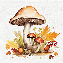 LET1618 - Fall Mushrooms 2 - 12x12