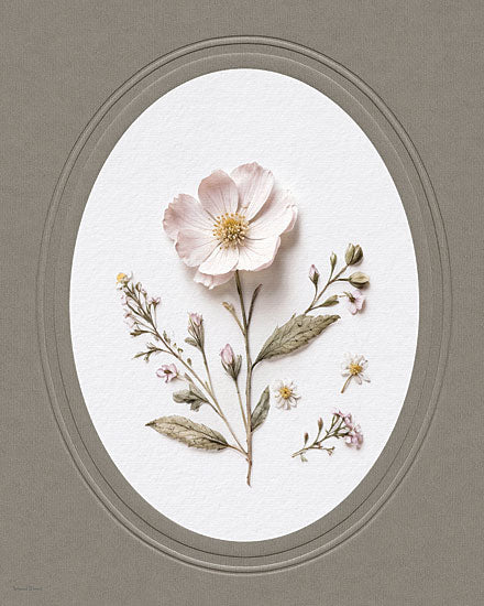 lettered & lined LET1675 - LET1675 - Dried Floral 2 - 12x16 botanical, still life, floral, greenery, leaves, pressed flowers, delicate, feminine, vintage, photography, white from Penny Lane