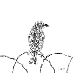 MAT232 - Bird on Fence - 12x12