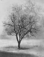 MAT236 - Lonely - 12x16