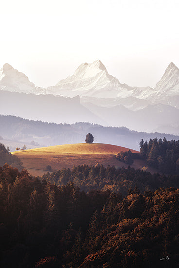 Martin Podt MPP1100 - MPP1100 - Stand Alone Tree at the Alps - 12x18 Photography, Landscape, Mountains, Alps, Trees from Penny Lane