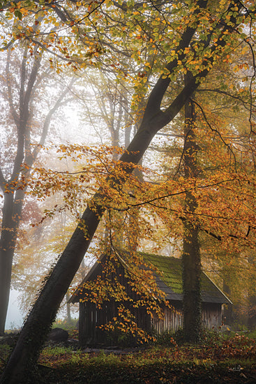 Martin Podt MPP1116 - MPP1116 - The Little Barn - 12x18 woodland cabin, autumn trees, rustic cabin, forest retreat, foggy woods, orange foliage, fall leaves, hidden cottage, moody forest, peaceful countryside, cabin in the woods, seasonal landscape, tranquil nature, cozy retreat, rural hideaway, misty autumn morning, vertical wall art, woodland path, serene rustic scene, warm earth tones from Penny Lane
