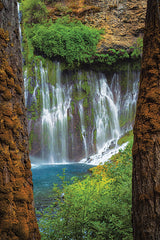 MPP1129 - Burney Falls - 12x18