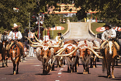 MPP1170 - Longhorn Cattle March - 18x12