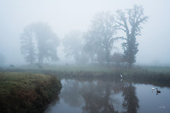 MPP1221 - Foggy Grazing Grounds - 18x12