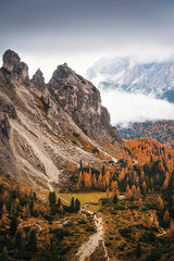 MPP1231 - Above the Pines - 12x18