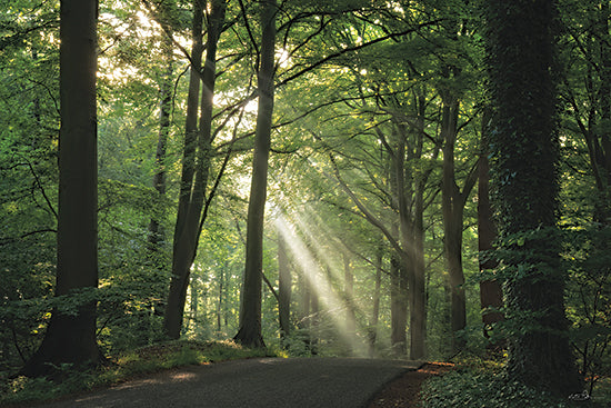 Martin Podt MPP1299 - MPP1299 - Morning Rays I - 18x12 landscape, botanical, path, trees, greenery, forest, woods, sunbeams, light rays, morning, peaceful, moody, photography, green from Penny Lane
