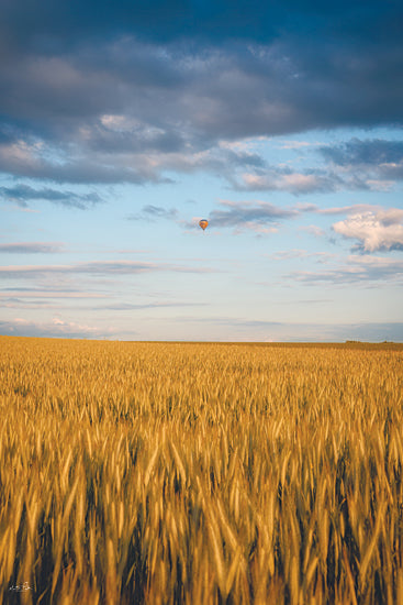 Martin Podt MPP1304 - MPP1304 - Above the Amber Waves - 12x18 landscape, travel, country, rural, sky, transportation, wheat, field, clouds, hot air balloon, sunset, horizon, contemporary, photography, yellow from Penny Lane