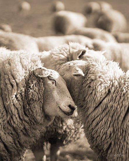 Martin Podt MPP840 - MPP840 - Hugging Sheep    - 12x16 sheep, flock, affection, cuddling sheep, rural life, black & white photography, wool, close-up, love, peace, gentle nature from Penny Lane