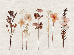 ND640 - Pressed Flowers For You I - 16x12