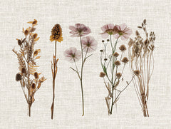 ND643 - Pressed Flowers For You IV - 16x12