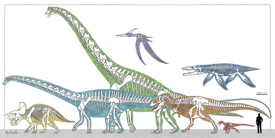 Lauren Rader RAD1455 - RAD1455 - Dinosaur Size Comparison - 18x9 Dinosaurs, Kid's Room, Children, Masculine, Chart, Dinosaur Size Comparison from Penny Lane