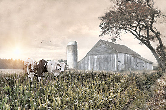 Robin-Lee Vieira RLV835 - RLV835 - Cows in the Corn - 18x12 barn with cows, cornfield farm, silo, rustic rural agriculture, grazing cattle, vintage farm scene from Penny Lane