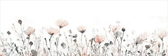 SA127 - Soft Poppy Dream - 36x12