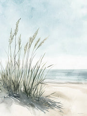 SA161 - Sea Breeze and Reeds - 12x16